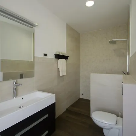 Luxury Istrian Apartment Zp